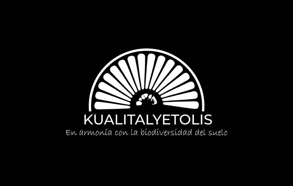 Kualitalyetolis Portada